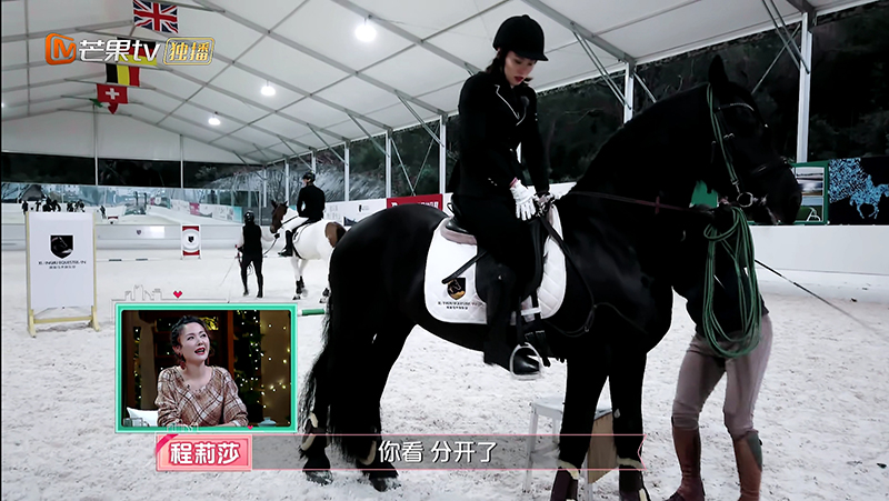 馬術(shù)篷房 馬術(shù)篷房