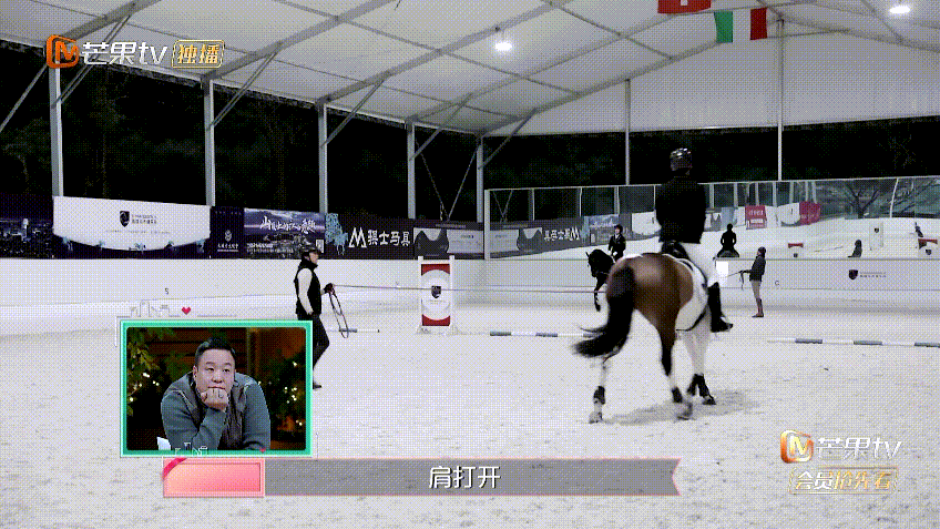 馬術(shù)篷房 馬術(shù)篷房