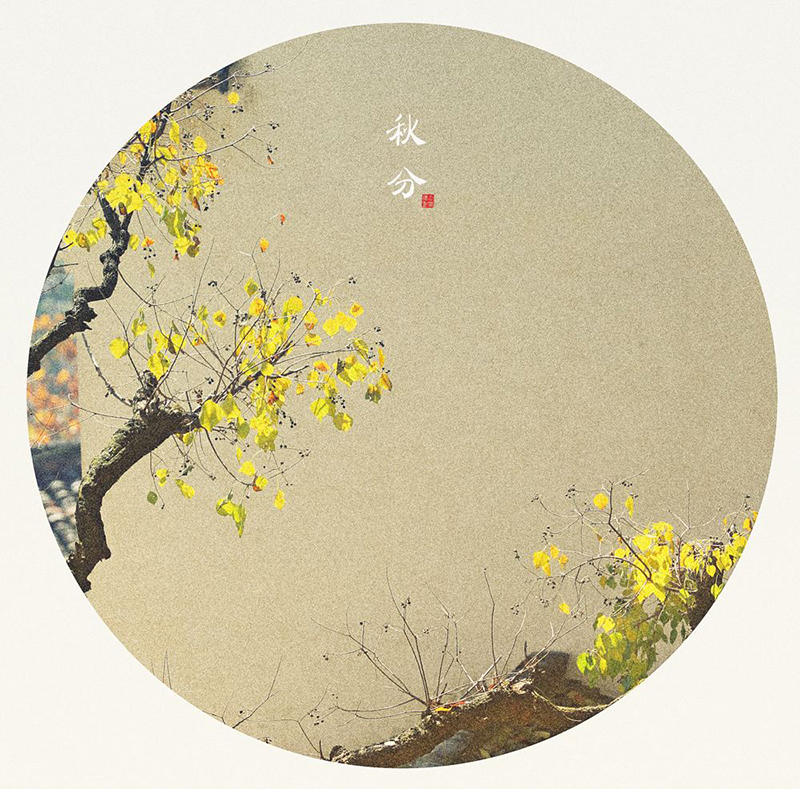 華燁篷房 華燁篷房